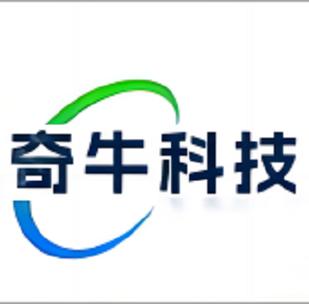 計算機系統(tǒng)服務;信息技術咨詢服務;人工智能應用軟件開發(fā);技術服務